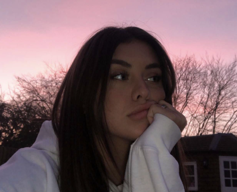 <em>Ashley</em>